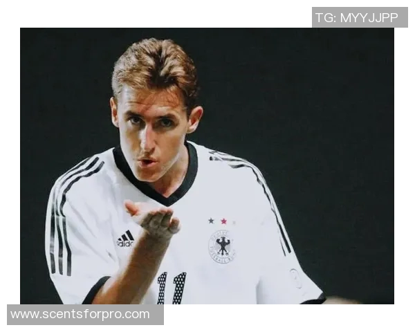 法国足球明星队的传奇之路与辉煌成就探秘