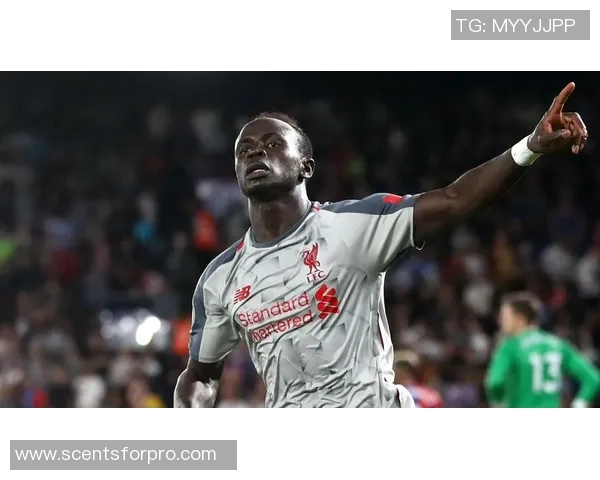 足球明星们如何评价马内的技术与精神魅力 足球明星们如何评价马内的技术与精神魅力