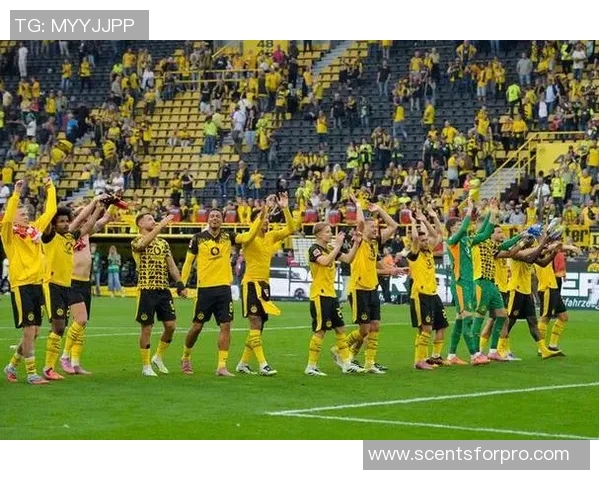 2017年德甲精彩对决多特蒙德迎战汉堡全场回顾与精彩瞬间分析