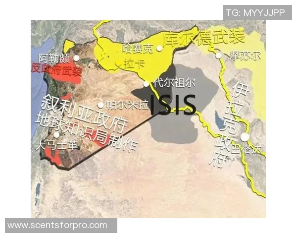 伊朗与叙利亚比赛是否会出现放水现象的深度分析与探讨 伊朗与叙利亚比赛是否会出现放水现象的深度分析与探讨
