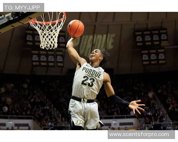 杰登艾维的崛起之路:从大学篮球新星到NBA未来之星的奋斗历程 杰登艾维的崛起之路:从大学篮球新星到NBA未来之星的奋斗历程