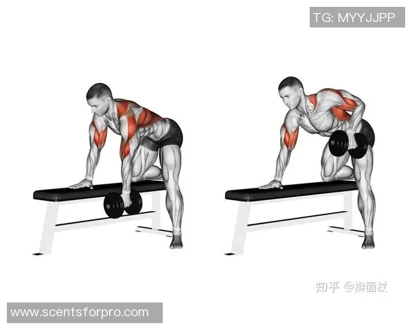 哑铃锻炼肱三头肌的有效方法与技巧分享