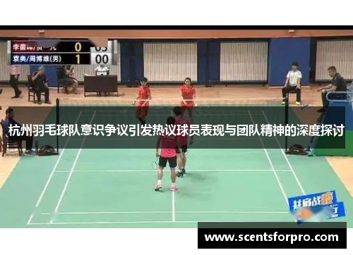 杭州羽毛球队意识争议引发热议球员表现与团队精神的深度探讨