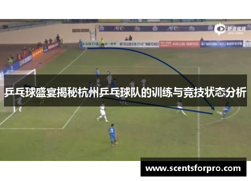 乒乓球盛宴揭秘杭州乒乓球队的训练与竞技状态分析
