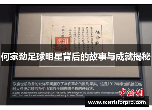何家劲足球明星背后的故事与成就揭秘