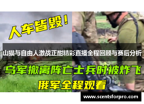 山猫与自由人激战正酣精彩直播全程回顾与赛后分析