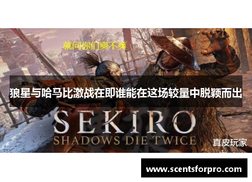 狼星与哈马比激战在即谁能在这场较量中脱颖而出